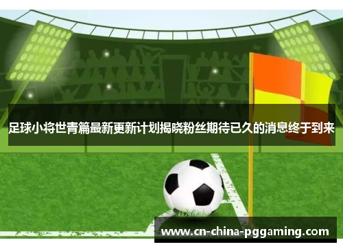 足球小将世青篇最新更新计划揭晓粉丝期待已久的消息终于到来