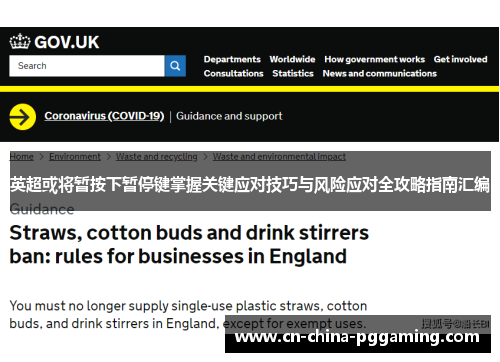 英超或将暂按下暂停键掌握关键应对技巧与风险应对全攻略指南汇编