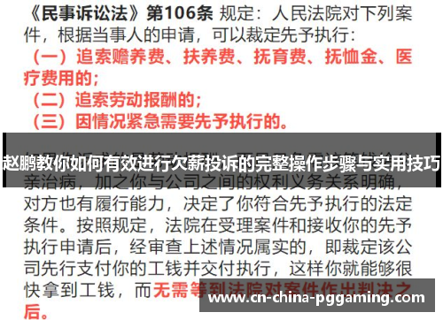 赵鹏教你如何有效进行欠薪投诉的完整操作步骤与实用技巧
