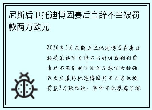 尼斯后卫托迪博因赛后言辞不当被罚款两万欧元